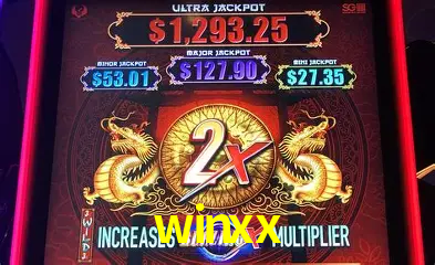 A Experiência Imersiva dos Cassinos Ao Vivo no winxx